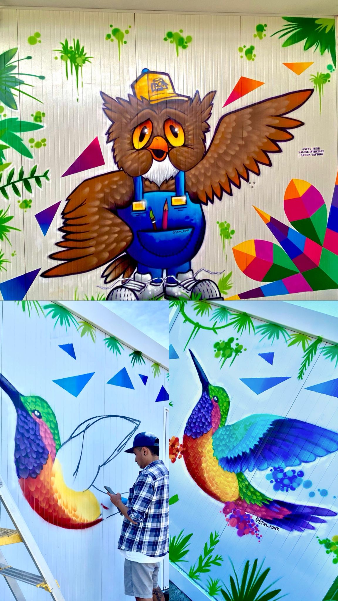 Mural Coruja