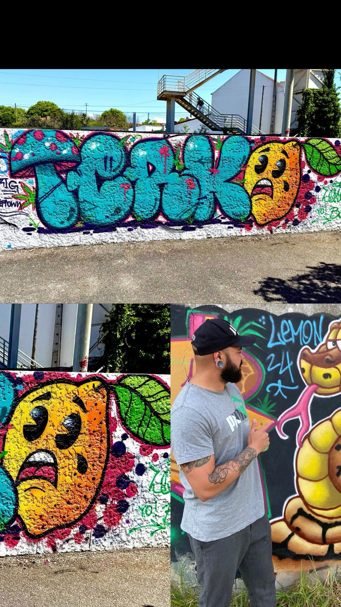 Mural completo