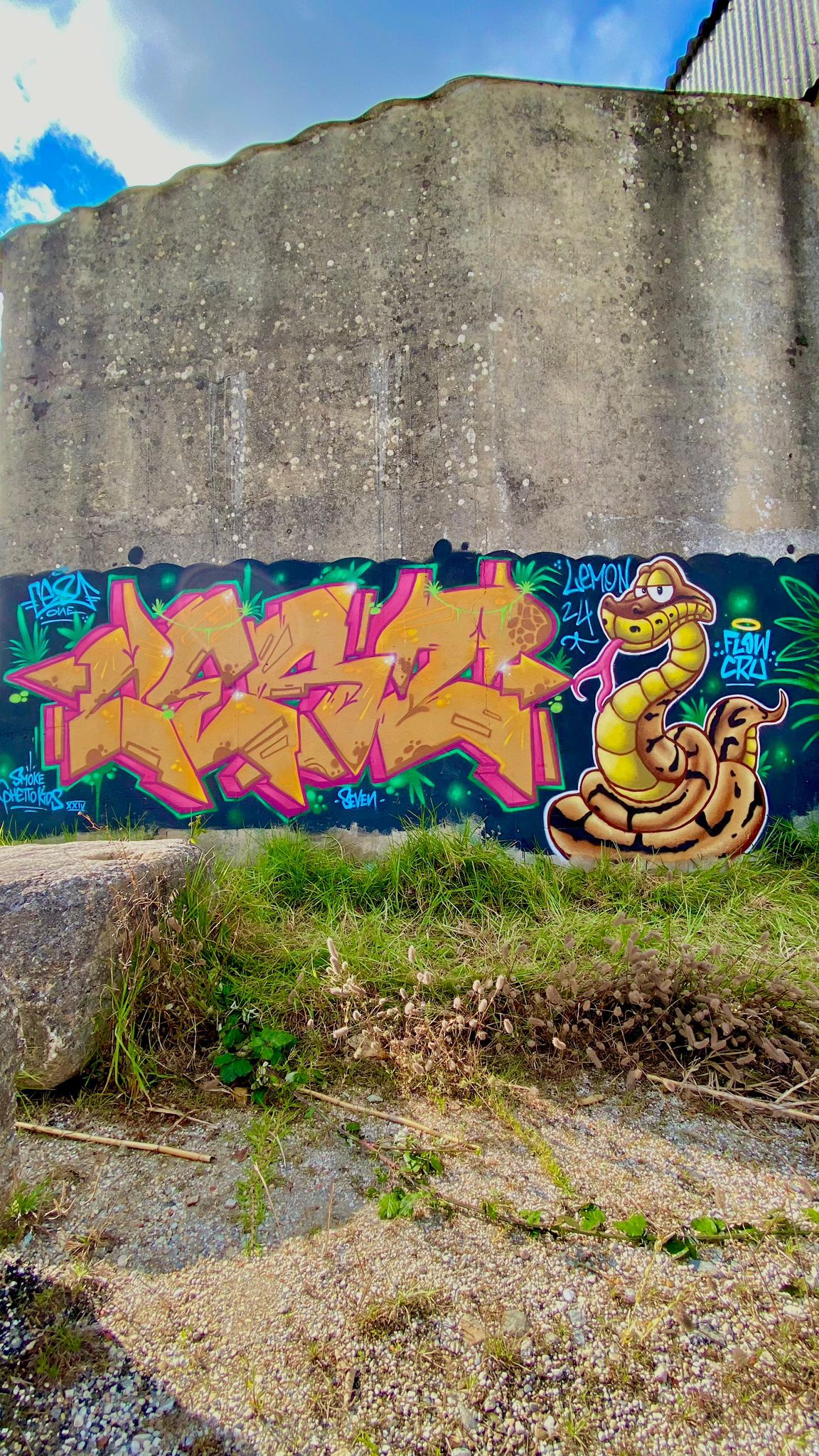 Mural com cobra