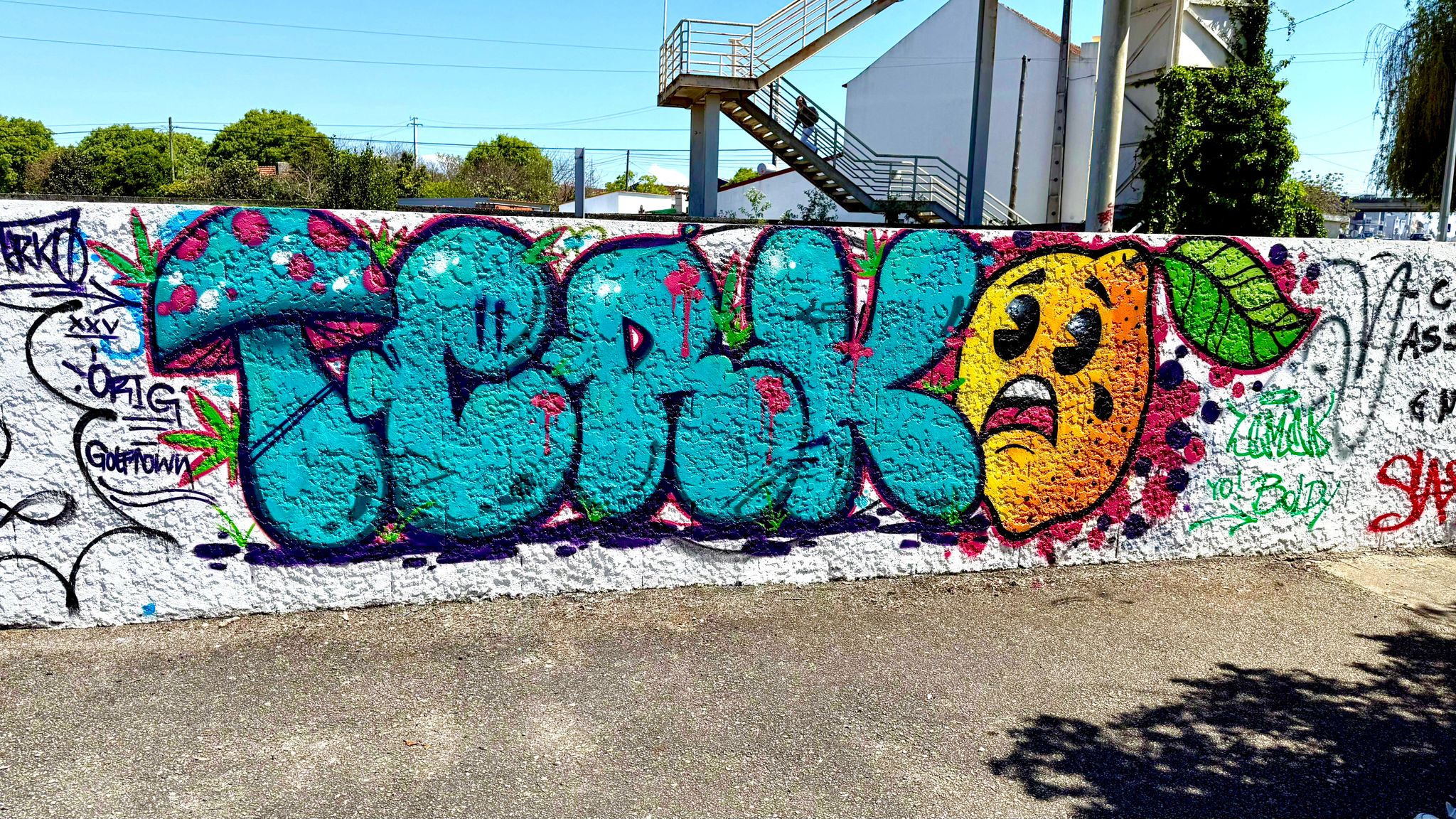 Mural exterior